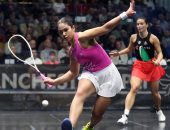 6 لاعبات من مصر تشاركن في منافسات بطولة سينسيناتي للاسكواش بأمريكا