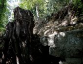 زوجان فرنسيان يفوزان بقطعة أرض رسم فيه فان جوخ آخر لوحاته