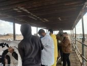 انطلاق الحملة القومية للتحصين ضد الجلد العقدي وجدري الأغنام بالإسماعيلية