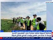 ماذا تفعل للوقاية من زيادة الوزن والسمنة؟.. وزارة الصحة توضح