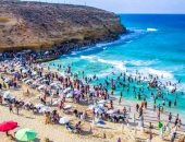 هضبة شاطئ عجيبة أشهر المزارات الطبيعية فى مطروح.. يتميز بمشاهد الغروب الخلابة والصور الفريدة.. وتلاطم الأمواج وعوامل النحر شكلت كهوفا ومنحوتات طبيعية.. ومصنف ضمن أفضل 50 شاطئا على مستوى العالم.. صور