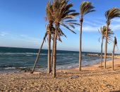 شاطئ النخيل بالعريش.. لوحة طبيعية تُرسم بالتراث والجمال فى شمال سيناء