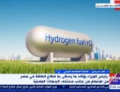 أستاذ اقتصاد بيئي: الاهتمام بالطاقة الجديدة والمتجددة يفتح أسواق عالمية لمصر