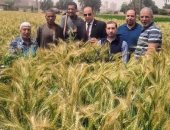 محافظ الجيزة يتابع استعدادات استقبال موسم حصاد القمح ويؤكد تقديم الدعم للمزارعين
