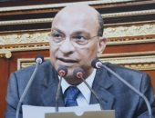 عضو "دفاع النواب": ما جرى فى تل أبيب يعكس تواطؤا مفضوحا ضد الدولة المصرية