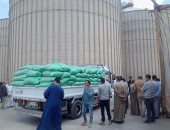 وزارة التموين: استلام 360 طن قمح من المزارعين بالفيوم حتى الآن