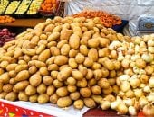 أسعار الخضراوات بمحافظة مطروح اليوم الأحد 11-5-2025.. البطاطس بـ 10 جنيهات