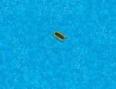 رواية القارب الصغير في القائمة القصيرة للبوكر.. عن ماذا تدور؟