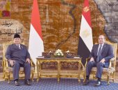 الرئيس السيسى ونظيره الإندونيسى يبحثان تعزيز التعاون الدفاعى