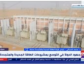 محمد السبكي: الدولة تحقق طفرة في التوسع بمشروعات الطاقة الجديدة والمتجددة