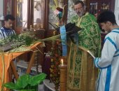 أقباط دمياط يحتفلون بأحد الشعانين فى كنيسة الروم الأرثوذكس.. فيديو