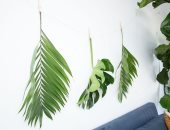 أحد السعف.. أفكار لتحويل أوراق النخيل لقطع ديكور مميزة في المنزل