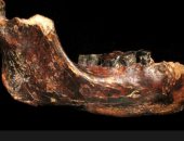 اكتشاف فك قديم يرسم صورة أوضح للإنسان الدينيسوفاني