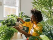 بيوتهم مليانة زرع.. 5 أبراج تمتلك خبرة عالية فى الاهتمام بالنباتات