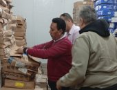 ضبط أكثر من 7 أطنان سمك ورنجة وفسيخ ولحوم ودجاج مخالفة للمواصفات بالدقهلية