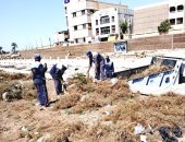 رفع 25 طن قمامة ومخلفات أشجار فى محيط مسار طريق الكباش بالأقصر.. صور