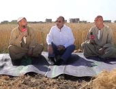 "الحياة اليوم" يتابع موسم حصاد القمح ويرصد فرحة الفلاحين من محافظة الفيوم