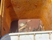 ضبط نصف طن فسيخ وأسماك مملحة غير صالحة للاستهلاك قبل شم النسيم بالأقصر