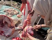 تحرير 27 محضرًا لمخالفات تموينية وضبط لحوم مذبوحة خارج المجازر الحكومية ببنى سويف