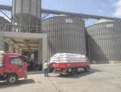 شون وصوامع المنيا تستقبل 25845 طناً من القمح ضمن موسم حصاد 2025