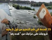 25 فسحة.. دليل برنامج "كده رضا" لخروجات "شم النسيم".. خروجتك هتبدأ من 5 جنيهات فى جنينة الأسماك ومنتزه عابدين وابن سندر.. حديقة أغاخان واليابانية ونيل المعادى بـ10 جنيهات.. والدولية والعبور والطفل بـ20.. فيديو