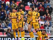 شوط سلبى بين بولونيا ضد الإنتر فى الدورى الإيطالى