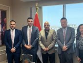 وزير الكهرباء يبحث مع "سانجرو الصينية" التعاون فى مجالات تصنيع مهمات الطاقة المتجددة