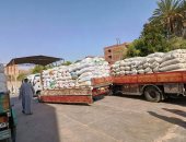 كفر الشيخ: توريد 35258 طنا من القمح بصوامع كفر الشيخ
