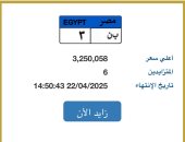 لوحة سيارة رقمها "ب ن- 3” سعرها تخطى 3 ملايين جنيه بمزاد اللوحات