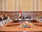 رئيس حقوق الإنسان بالنواب: موقف مصر من القضية الفلسطينية ثابت ومشرف