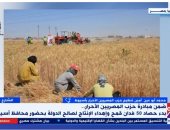 حزب المصريين الأحرار: مبادرة زراعة 50 فدان قمح لدعم الدولة لتحقيق الأمن الغذائي