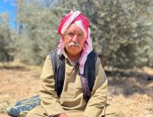"الزيتونة التي لم تنحنِ".. حكاية سيناوى صمد في وجه الاحتلال والإرهاب ليُعمّر أرض أجداده.. والده قاوم محاولة إسرائيل شراء الأرض.. وصمد في وجه الإرهابيين واستُشهد نجله ونجا من محاولتي اغتيال.. صور