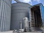 كيف استعدت الإسكندرية لتخزين محصول القمح هذا العام؟ السر فى 6 نقاط