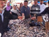حلقة عزبة البرج.. مركز توزيع الأسماك الطازجة يوميا من الرابعة فجرا