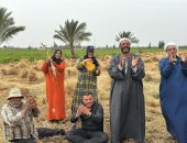 الذهب الأصفر يزين أرض بورسعيد.. موسم حصاد القمح يبشر بخير وفير.. 9535 فدانا مزروعة بالمحصول.. مديرية التموين: توريد أكثر من 173 طنا حتى الآن وسط متابعة مكثفة.. وتؤكد: تيسير الإجراءات أمام المزارعين.. صور