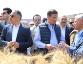 وزير الزراعة: غرف عمليات بجميع المحافظات لمتابعة حصاد القمح وتوريده