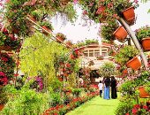 معرض الزهور 2025.. 5 نباتات عطرية تنعش بيتك غير الفل والياسمين