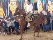 جماليات رقص الخيول.. فعاليات كرنفال الموجى لعرض مهارات الحصان العربي