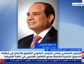 خبير لإكسترا نيوز: مصر لها تاريخ فى دعم الجابون وكل القارة الأفريقية