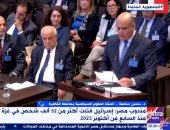 أستاذ علوم سياسية: مرافعة مصر أمام العدل الدولية توثيق جديد لجرائم إسرائيل