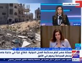 خبير: مرافعة مصرى أمام العدل الدولية فندت كل انتهاكات إسرائيل ضد حقوق الإنسان
