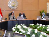 وزيرا الكهرباء والبيئة يبحثان سبل التعاون فى مشروعات الطاقات المتجددة