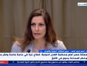 خبير: مرافعة مصر أمام العدل الدولية أحد مسارات دعم مصر للقضية الفلسطينية
