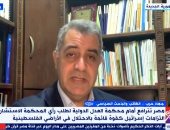 جهاد حرب عن مرافعة مصر أمام العدل الدولية: تدافع عن الحق الفلسطيني عبر التاريخ