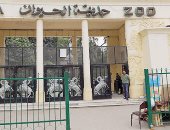 حديقة الحيوان بالجيزة فى ثوب جديد.. تجربة استثنائية تعزز مكانة مصر على خارطة السياحة العالمية.. وجهة ترفيهية متكاملة تناسب كل الأعمار والفئات..استقدام أنواع جديدة ونادرة من الحيوانات..وتستقبل زوارها فى سبتمبر