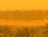عواصف ترابية تضرب واحة سيوة والصحراء الغربية وانخفاض الرؤية.. صور