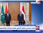 أستاذ استثمار وتمويل: مصر تعزز علاقاتها الاقتصادية مع الأشقاء داخل أفريقيا
