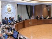 مجلس الوزراء يشكل لجنة عليا لتطبيق منظومة المخاطر الشاملة للإفراج عن البضائع