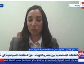 خبير: مصر عازمة على زيادة الاستثمارات الأجنبية المباشرة وغير المباشرة