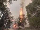 العالم هذا المساء.. حرائق ضخمة فى إسرائيل وهروب المواطنين على الطريق السريع.. سيارة تصدم عدة أشخاص أمام دار لرعاية المسنين فى كوبنهاجن.. وارتفاع عدد ضحايا العدوان الإسرائيلى على غزة إلى 52 ألفا و400 شهيد
